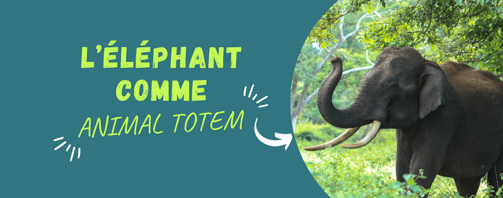 L'éléphant comme animal totem