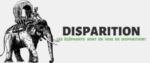 Les éléphants sont en voie de disparition?