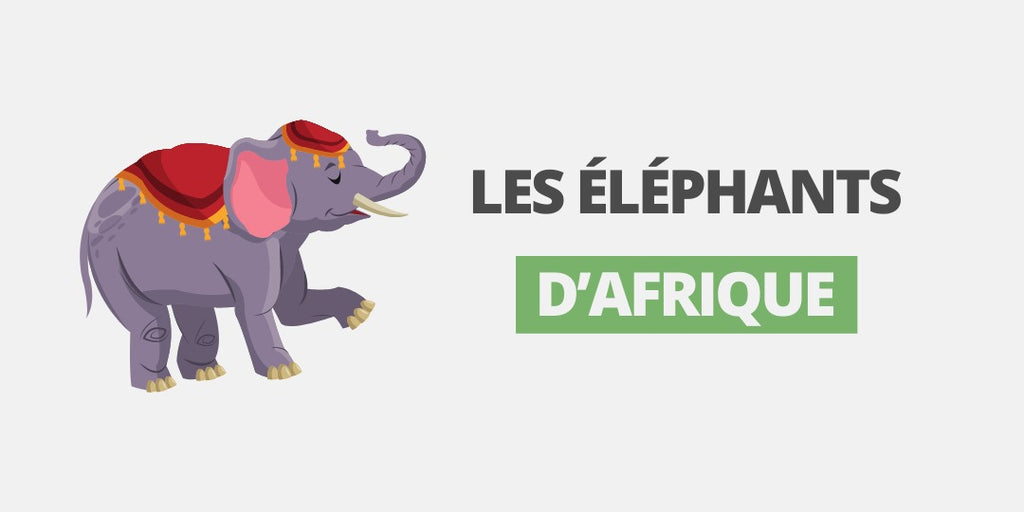 Les éléphants d’Afrique