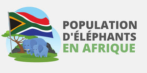 Population d'éléphants en Afrique