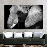 Peinture Éléphant Noir et Blanc